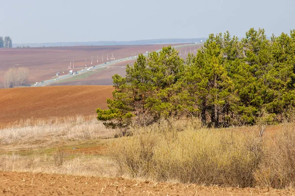 Paisagem Primavera Campo Recém Lavrado Terreno Acidentado Árvores Sem Folhas — Fotografia de Stock