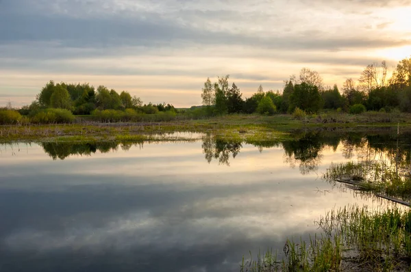 Bahar catering. Bir güzel bahar yatay bir bataklık, gündoğumu. Yeşil orman ve bulutlu gökyüzü bulutlu. Açık havada doğal çevre kavramı.