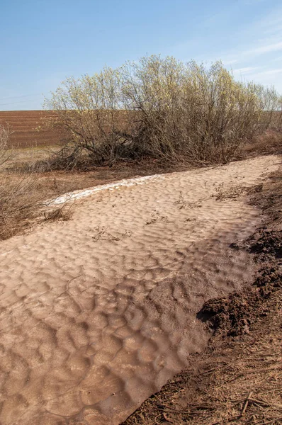Bahar manzara. bahar alanında son kar. engebeli arazi. ağaçların yaprakları olmadan. ilk sıcak günleridir