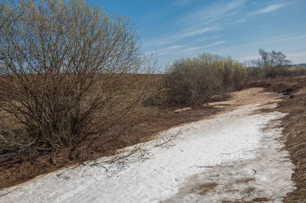 Bahar manzara. bahar alanında son kar. engebeli arazi. ağaçların yaprakları olmadan. ilk sıcak günleridir