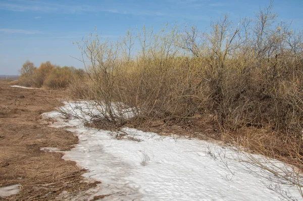 Bahar manzara. bahar alanında son kar. engebeli arazi. ağaçların yaprakları olmadan. ilk sıcak günleridir