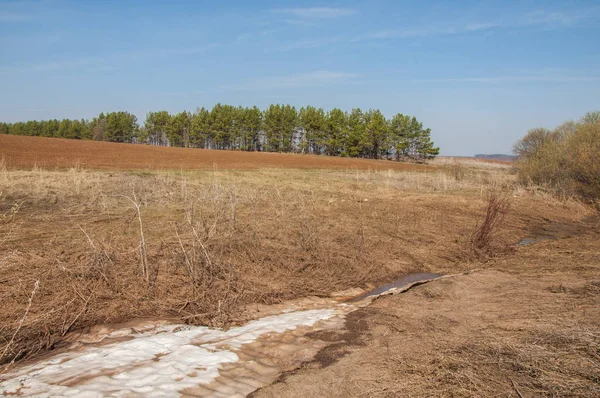 Bahar manzara. bahar alanında son kar. engebeli arazi. ağaçların yaprakları olmadan. ilk sıcak günleridir