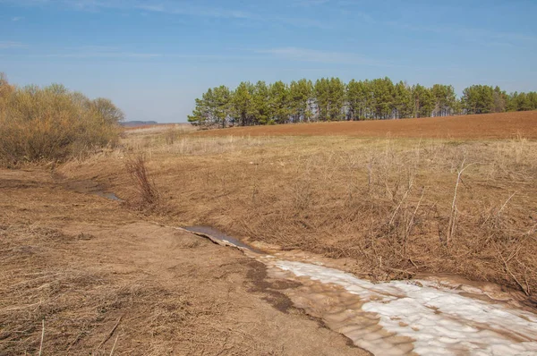 Bahar manzara. bahar alanında son kar. engebeli arazi. ağaçların yaprakları olmadan. ilk sıcak günleridir