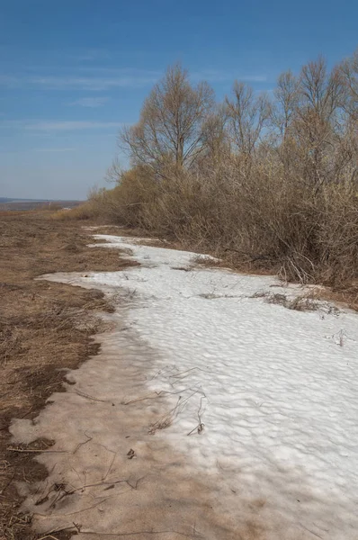 Bahar manzara. bahar alanında son kar. engebeli arazi. ağaçların yaprakları olmadan. ilk sıcak günleridir