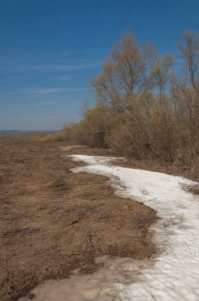 Bahar manzara. bahar alanında son kar. engebeli arazi. ağaçların yaprakları olmadan. ilk sıcak günleridir