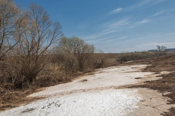 Bahar manzara. bahar alanında son kar. engebeli arazi. ağaçların yaprakları olmadan. ilk sıcak günleridir