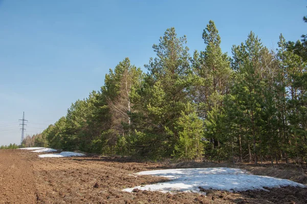 Bahar manzara. bahar alanında son kar. engebeli arazi. ağaçların yaprakları olmadan. ilk sıcak günleridir