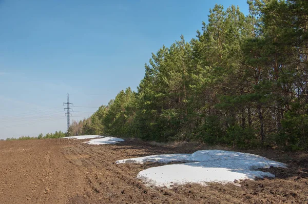 Bahar manzara. bahar alanında son kar. engebeli arazi. ağaçların yaprakları olmadan. ilk sıcak günleridir