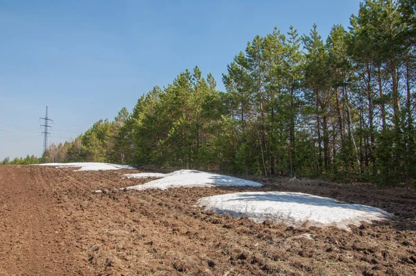 Bahar manzara. bahar alanında son kar. engebeli arazi. ağaçların yaprakları olmadan. ilk sıcak günleridir