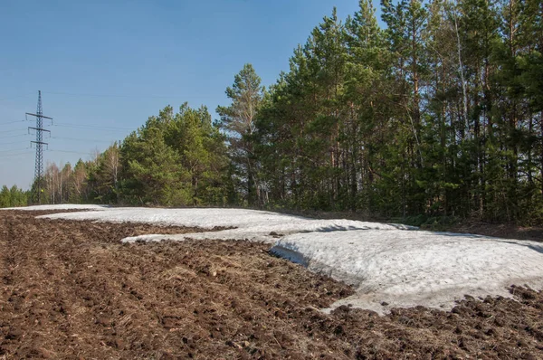 Bahar manzara. bahar alanında son kar. engebeli arazi. ağaçların yaprakları olmadan. ilk sıcak günleridir