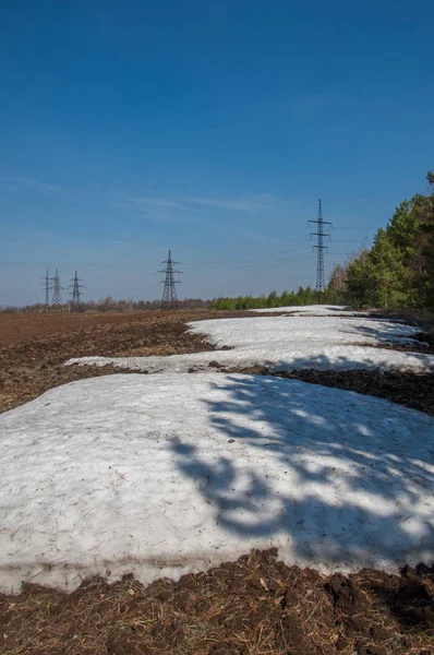 Bahar manzara. bahar alanında son kar. engebeli arazi. ağaçların yaprakları olmadan. ilk sıcak günleridir