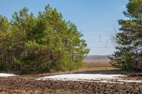 Paisaje Primavera Última Nieve Campo Primavera Terreno Montañoso Árboles Sin — Foto de Stock