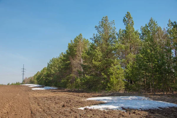 Bahar manzara. bahar alanında son kar. engebeli arazi. ağaçların yaprakları olmadan. ilk sıcak günleridir