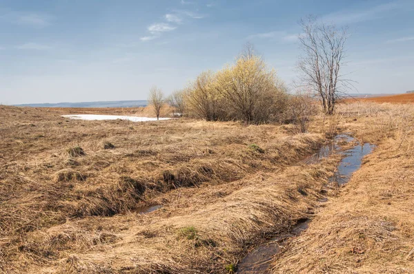 Bahar manzara. bahar alanında son kar. engebeli arazi. ağaçların yaprakları olmadan. ilk sıcak günleridir