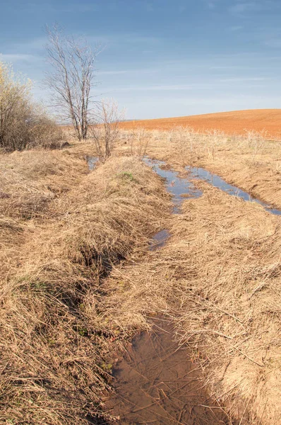 Bahar manzara. Taze sürülmüş alan. engebeli arazi. ağaçların yaprakları olmadan. Çok renkli bahar ağaçları. Geçen yılki kış kar kalan. Son kar.