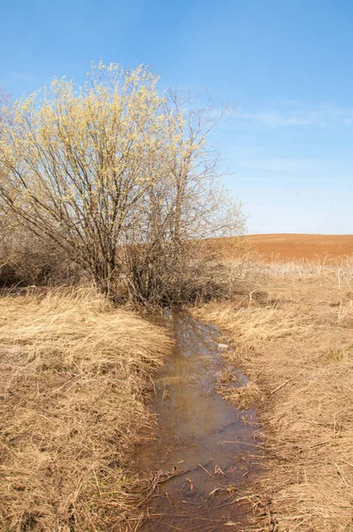 Paisaje Primavera Campo Recién Arado Terreno Montañoso Árboles Sin Hojas — Foto de Stock