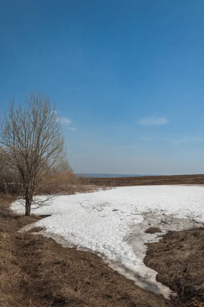 Bahar manzara. bahar alanında son kar. engebeli arazi. ağaçların yaprakları olmadan. ilk sıcak günleridir