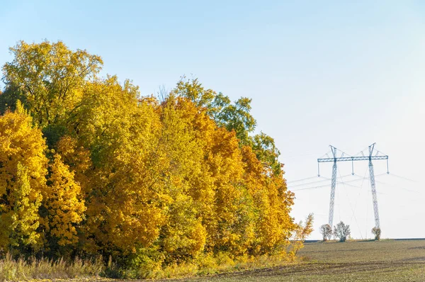 Sonbahar sahneleri. Energo. Yeşil enerji, enerji santrali, yakın yüksek voltajlı güç hatları kavramı. Güç Dağıtım İstasyonu. yüksek voltajlı elektrik iletim bir pilon siluet kulenin.