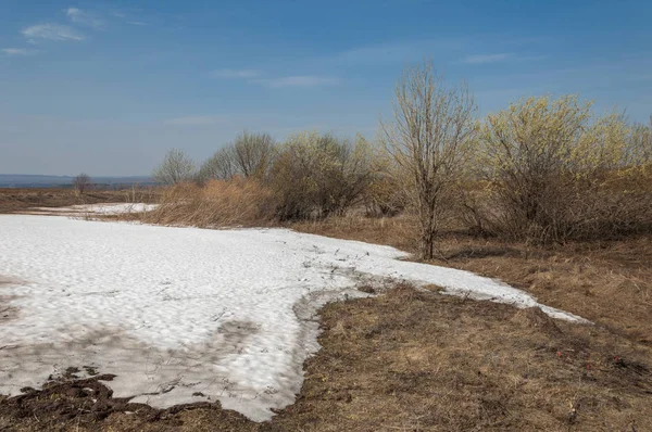 Paisaje Primavera Última Nieve Campo Primavera Terreno Montañoso Árboles Sin — Foto de Stock