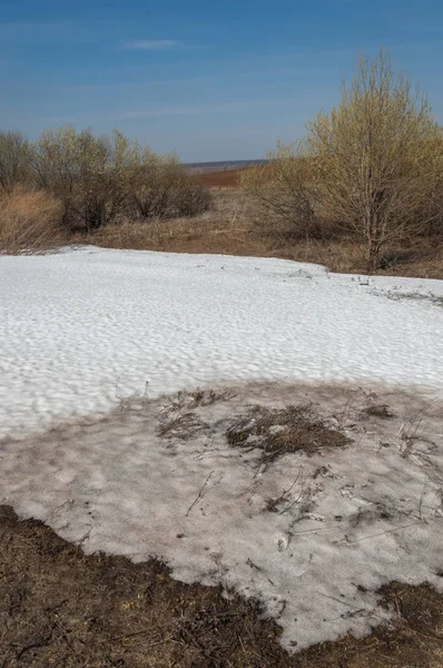 Bahar manzara. bahar alanında son kar. engebeli arazi. ağaçların yaprakları olmadan. ilk sıcak günleridir