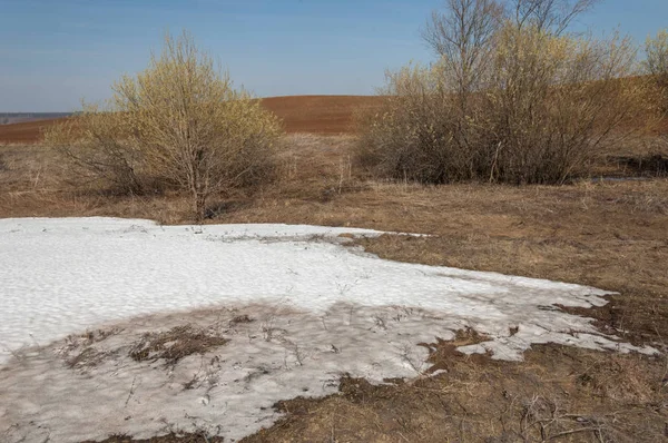 Bahar manzara. bahar alanında son kar. engebeli arazi. ağaçların yaprakları olmadan. ilk sıcak günleridir