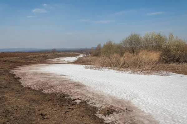 Paisaje Primavera Última Nieve Campo Primavera Terreno Montañoso Árboles Sin — Foto de Stock