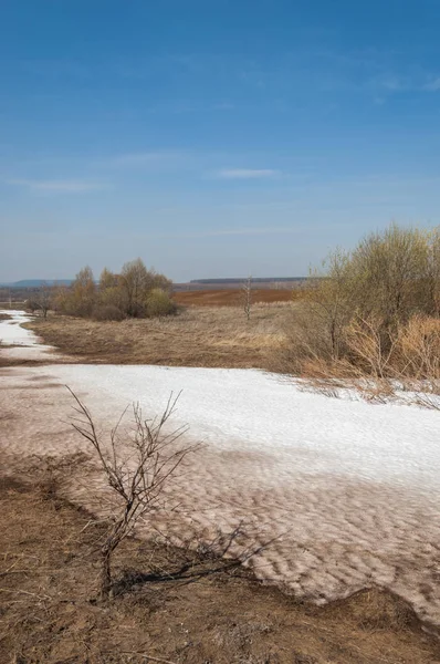 Bahar manzara. bahar alanında son kar. engebeli arazi. ağaçların yaprakları olmadan. ilk sıcak günleridir