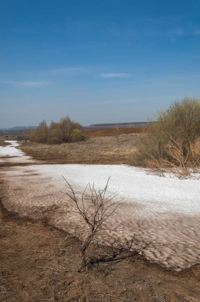 Bahar manzara. bahar alanında son kar. engebeli arazi. ağaçların yaprakları olmadan. ilk sıcak günleridir