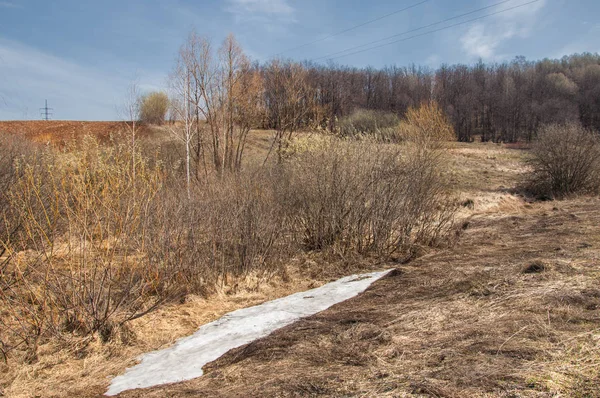 Bahar manzara. Taze sürülmüş alan. engebeli arazi. ağaçların yaprakları olmadan. Çok renkli bahar ağaçları. Geçen yılki kış kar kalan. Son kar.