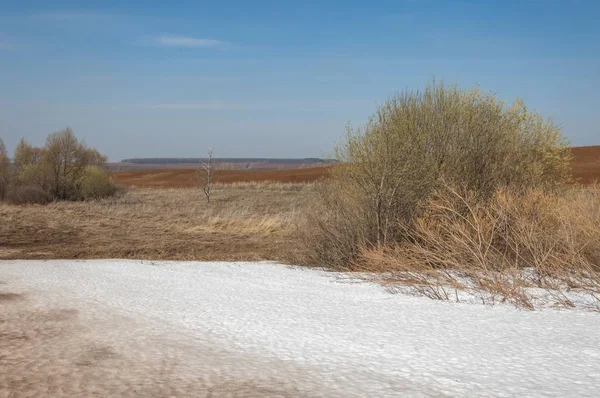 Bahar manzara. bahar alanında son kar. engebeli arazi. ağaçların yaprakları olmadan. ilk sıcak günleridir