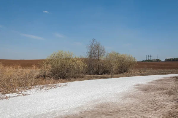 Bahar manzara. bahar alanında son kar. engebeli arazi. ağaçların yaprakları olmadan. ilk sıcak günleridir