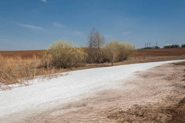 Paisagem Primavera Última Neve Campo Primavera Terreno Acidentado Árvores Sem — Fotografia de Stock