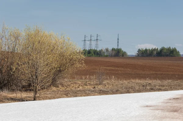 Bahar manzara. bahar alanında son kar. engebeli arazi. ağaçların yaprakları olmadan. ilk sıcak günleridir
