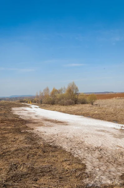 Bahar manzara. bahar alanında son kar. engebeli arazi. ağaçların yaprakları olmadan. ilk sıcak günleridir