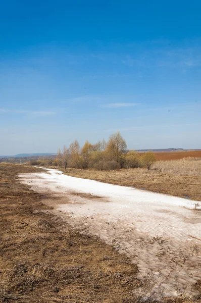 Bahar manzara. bahar alanında son kar. engebeli arazi. ağaçların yaprakları olmadan. ilk sıcak günleridir
