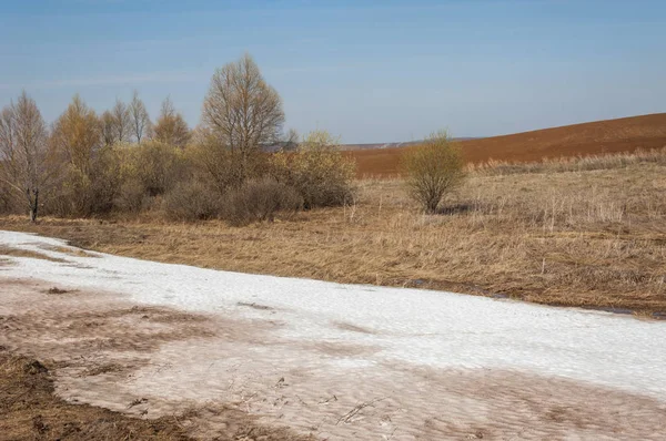 Paisaje Primavera Última Nieve Campo Primavera Terreno Montañoso Árboles Sin — Foto de Stock