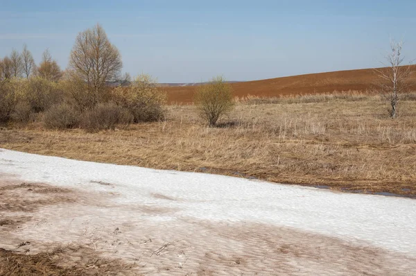 Paisagem Primavera Última Neve Campo Primavera Terreno Acidentado Árvores Sem — Fotografia de Stock