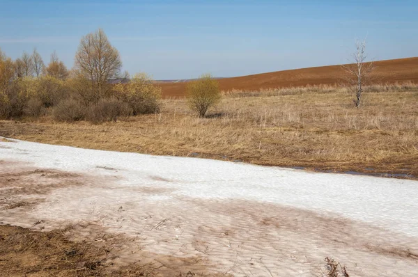 Bahar manzara. bahar alanında son kar. engebeli arazi. ağaçların yaprakları olmadan. ilk sıcak günleridir