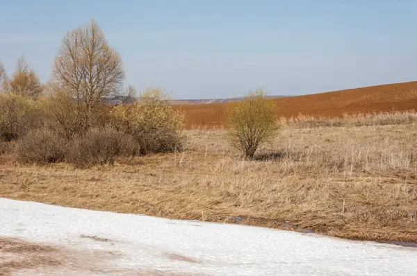 Bahar manzara. bahar alanında son kar. engebeli arazi. ağaçların yaprakları olmadan. ilk sıcak günleridir