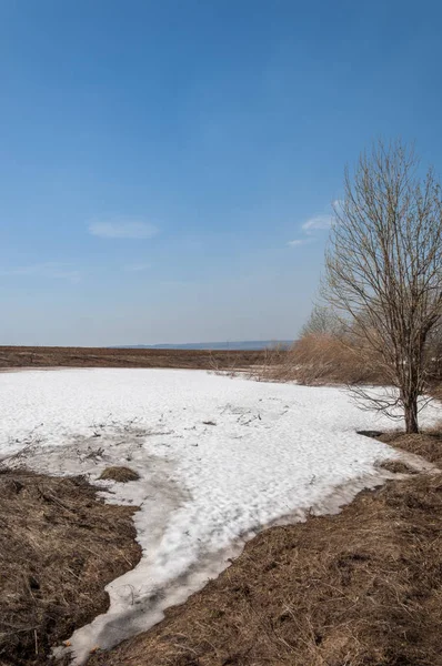 Bahar manzara. bahar alanında son kar. engebeli arazi. ağaçların yaprakları olmadan. ilk sıcak günleridir