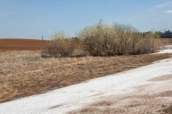 Paisaje Primavera Última Nieve Campo Primavera Terreno Montañoso Árboles Sin — Foto de Stock