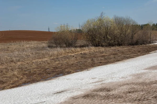Bahar manzara. bahar alanında son kar. engebeli arazi. ağaçların yaprakları olmadan. ilk sıcak günleridir