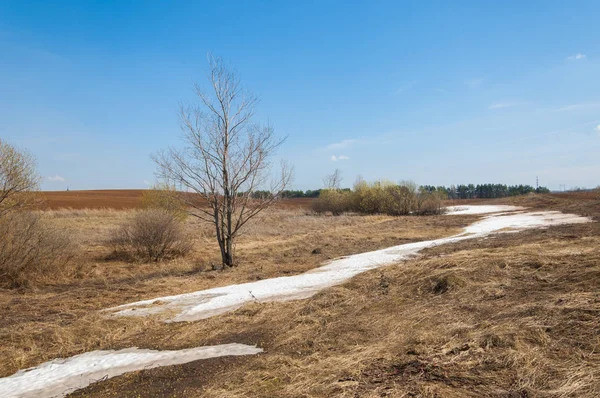Bahar manzara. bahar alanında son kar. engebeli arazi. ağaçların yaprakları olmadan. ilk sıcak günleridir