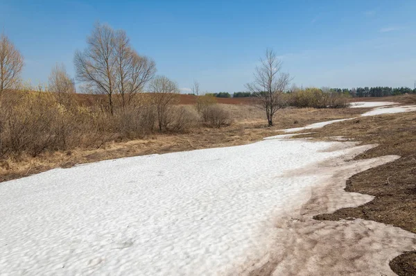 Bahar manzara. bahar alanında son kar. engebeli arazi. ağaçların yaprakları olmadan. ilk sıcak günleridir