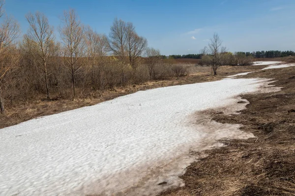 Bahar manzara. bahar alanında son kar. engebeli arazi. ağaçların yaprakları olmadan. ilk sıcak günleridir