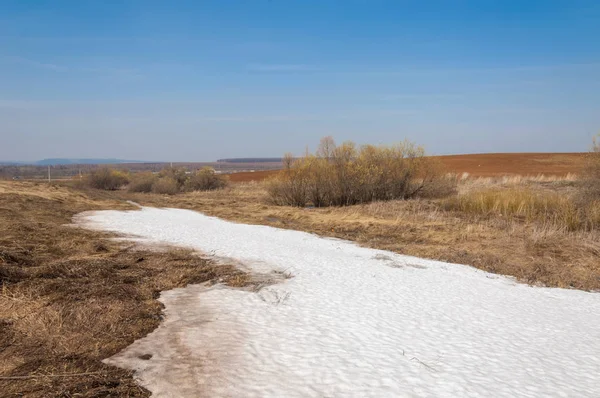 Bahar manzara. bahar alanında son kar. engebeli arazi. ağaçların yaprakları olmadan. ilk sıcak günleridir