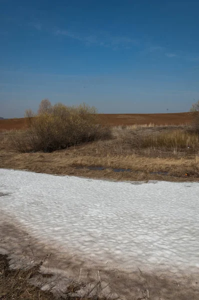 Bahar manzara. bahar alanında son kar. engebeli arazi. ağaçların yaprakları olmadan. ilk sıcak günleridir