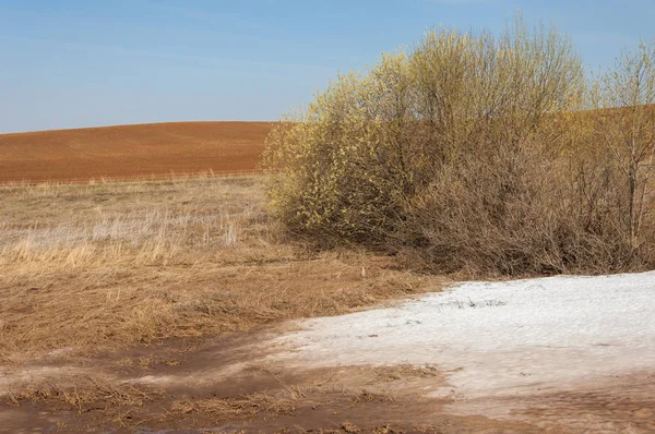 Bahar manzara. bahar alanında son kar. engebeli arazi. ağaçların yaprakları olmadan. ilk sıcak günleridir