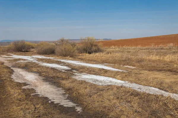 Bahar manzara. bahar alanında son kar. engebeli arazi. ağaçların yaprakları olmadan. ilk sıcak günleridir