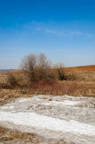 Paisagem Primavera Última Neve Campo Primavera Terreno Acidentado Árvores Sem — Fotografia de Stock